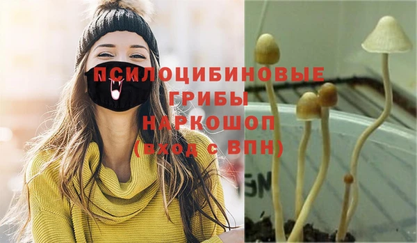 таблы Алексеевка